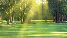 Sunset Funeral Home